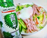 【老化玩味】ファンキーひやむぎ中華作り方7写真