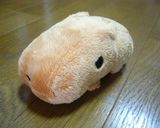カピバラさんのキャラ弁作り方1写真