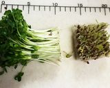お弁当にもおつまみにも☆節約カイワレハム作り方3写真