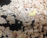 鶏ひき肉と野菜何でもオイスター炒め作り方2写真