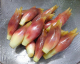 くにしゃんのミョウガの甘酢漬け♪作り方1写真