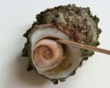 サザエのつぼ焼きエスカルゴ風☆作り方3写真