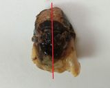 サザエのつぼ焼きエスカルゴ風☆作り方6写真