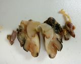 サザエのつぼ焼きエスカルゴ風☆作り方8写真