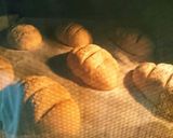 HB全粒粉50(70)% ヘルシーパン☆作り方9写真