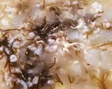 瓜とモズクのおじや作り方6写真