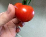 離乳食 シーフード♡*゜作り方8写真