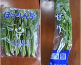 セリとホウレン草の梅干し和え♪作り方3写真