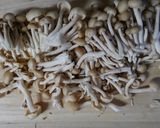 西京味噌で！豚肉と筍と蓮根とネギの煮物♪作り方3写真