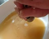 アグリーダ(verjuice)作り方3写真