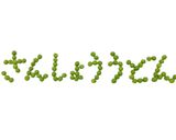 山椒うどん作り方1写真