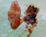 おうちでも！　ホヤの酢の物作り方2写真