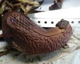 サラダ風茶そば作り方1写真