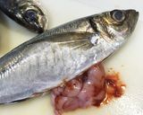 簡単‼アジのたたき作り方1写真