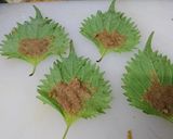 鶏大葉巻き作り方4写真
