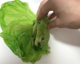 ＊豚しゃぶの冷製キャベツロール＊作り方5写真