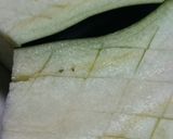 ズボラ母ちゃん作☆茄子と肉味噌ごっこ作り方4写真
