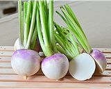 彩り野菜のバーニャカウダ(ハウスSP)作り方1写真
