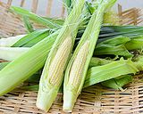 彩り野菜のバーニャカウダ(ハウスSP)作り方3写真