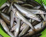 定番の味◇小鮎（コアユ）の甘露煮◇作り方1写真