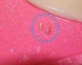 旦那レシピ・冷蔵庫でイカ（魚）の一夜干し作り方4写真