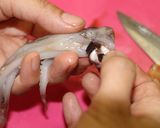 旦那レシピ・冷蔵庫でイカ（魚）の一夜干し作り方6写真