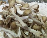 暑いときにさっぱりと!豚肉のマリネ作り方6写真