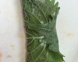 味噌マヨサーモンの大葉包み揚げ作り方4写真