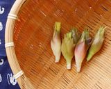 みょうがの甘酢漬け作り方2写真