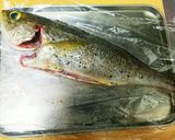 いさき(白身魚)のホイル蒸し作り方1写真