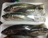 おいしいな♪アジの骨せんべい作り方1写真