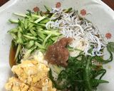 南高梅で、さっぱりぶっかけ素麺作り方8写真