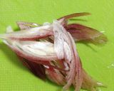 すだちdeさっぱり♪パクチーそうめん作り方2写真