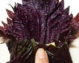 赤じその茄子巻き作り方4写真