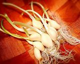 発芽にんにくと甘長ししとうの鶏皮焼き作り方1写真