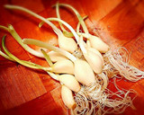 発芽にんにくと甘長ししとうの鶏皮焼き作り方1写真