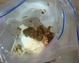 タンドリーチキン 鶏肉 オーブンで簡単作り方1写真