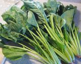 【定番和食】ほうれん草のおひたし作り方1写真