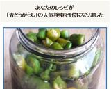 青唐辛子のお醤油漬けと８つの活用法：覚書作り方16写真