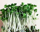 しらすとキャベツの♪和風パスタ♪作り方3写真