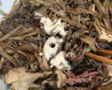 牛肉とごぼうとまいたけのしぐれ煮作り方4写真