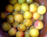 梅干し作り方5写真