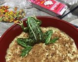 洋菓子細工☆蛙のレアチーズケーキ※グロ注作り方23写真