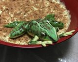 洋菓子細工☆蛙のレアチーズケーキ※グロ注作り方22写真