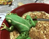 洋菓子細工☆蛙のレアチーズケーキ※グロ注作り方38写真