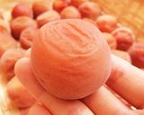 自家製梅干し作り方13写真