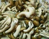 市販の素で簡単！なすとポテトのグラタン作り方3写真