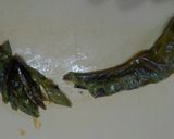 旬の激辛唐辛子！作り方3写真