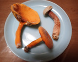 チチタケ、セイタカイグチの激旨野菜炒め作り方1写真