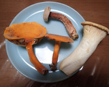 チチタケ、セイタカイグチの激旨野菜炒め作り方2写真